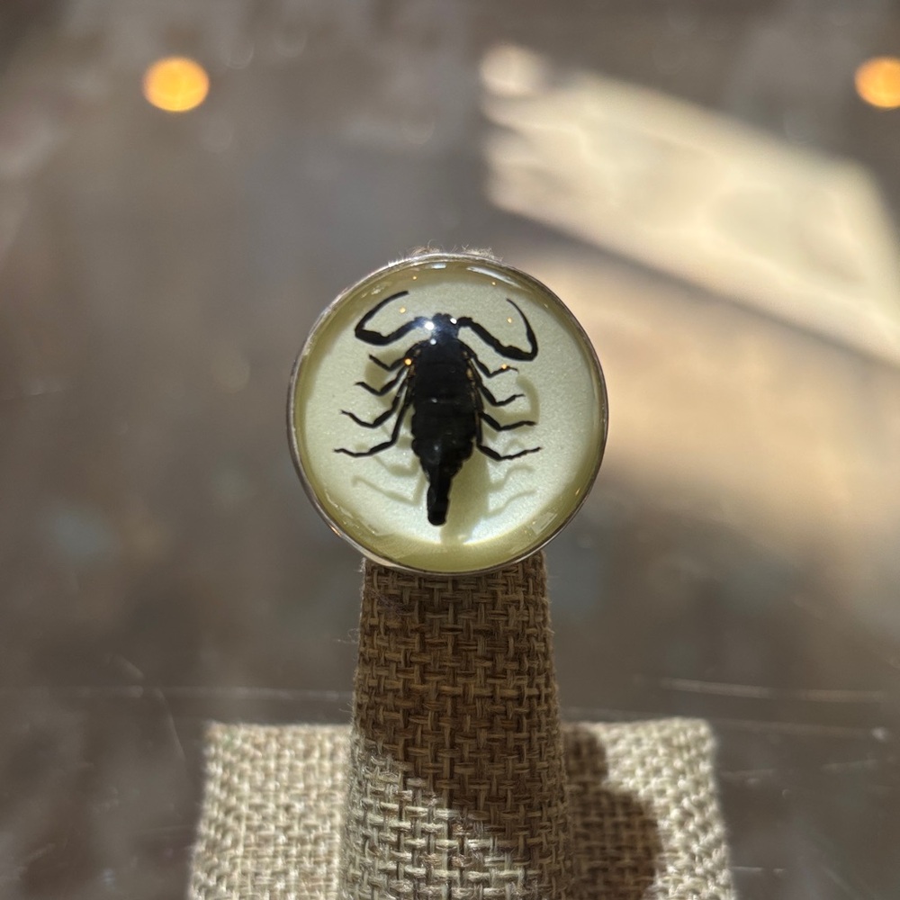 Scorpion Dome Ring Sterling Silver